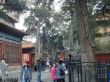 k-DSC02040.JPG