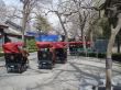 k-DSC02067.JPG