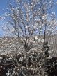 k-DSC02093.JPG
