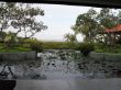 k-SDC10465.JPG